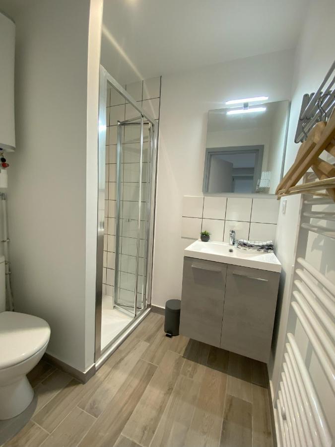 Le Viotte - Unique ! 3 Logements Disponibles Безансон Экстерьер фото